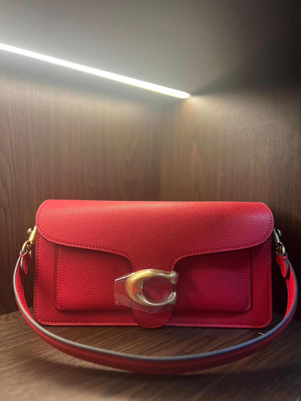 COACH BAGS